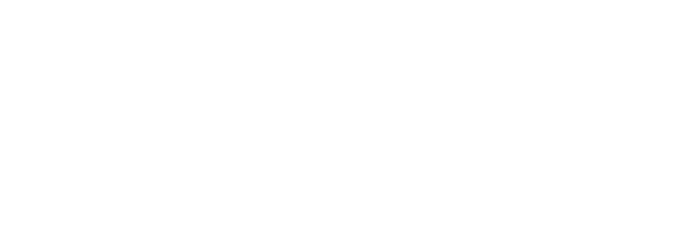 logo Everise Capital